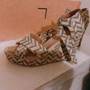 Toms Shoes // Zebra pattern